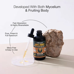 Lion's Mane Mushroom Extract - Buy 1, Get 1 FREE!