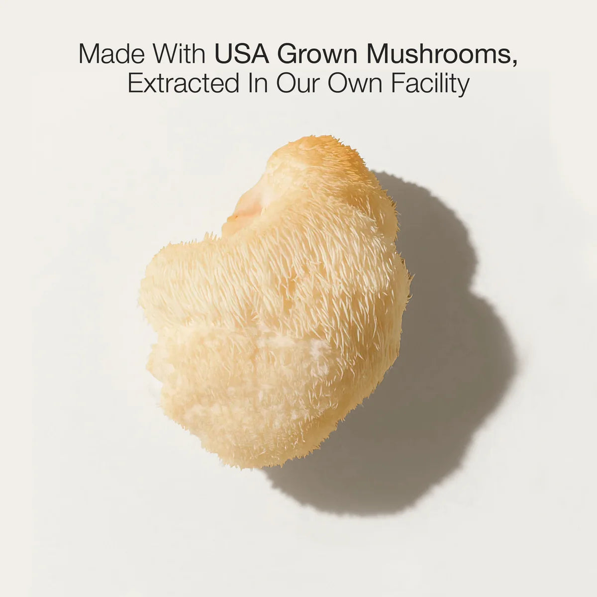 Lion's Mane Mushroom Extract - Buy 1, Get 1 FREE!